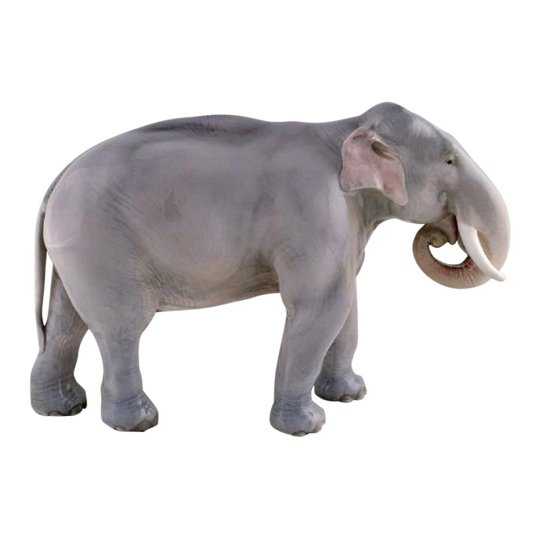 Theodor Madsen pour Royal Copenhagen:: Figurine rare en porcelaine:: Éléphant colossal