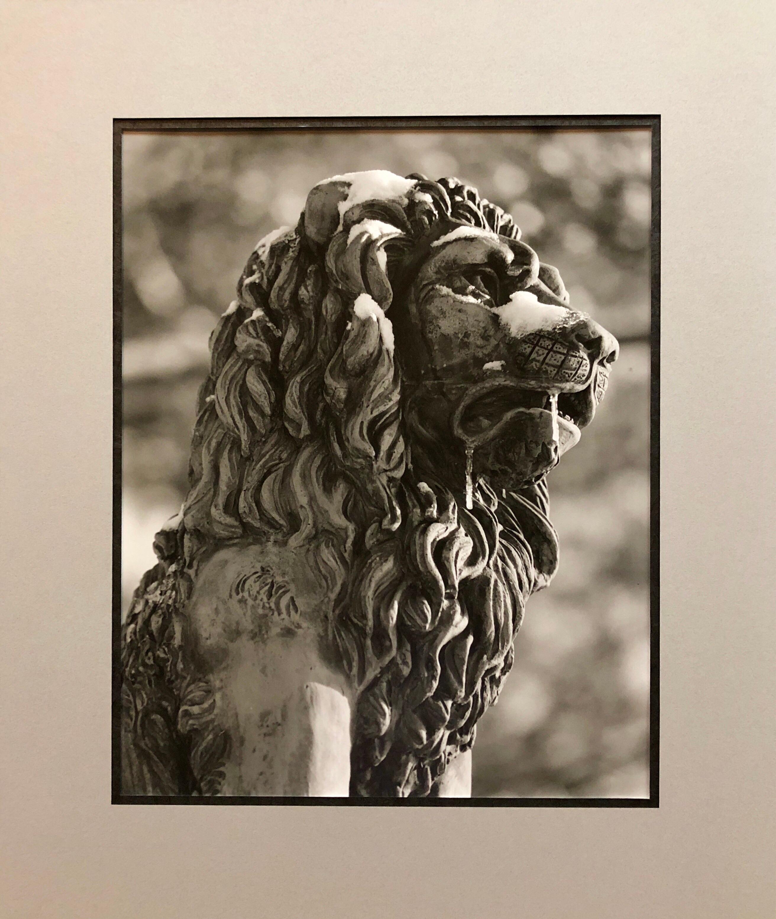 Vintage Judaic piece by Jewish American-Israeli artist. A figure of a lion found as a sculptural detail on a building in Jerusalem Israel, the city of all three major western religions. Judaica. 