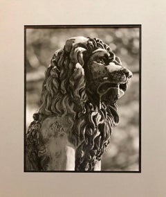Stone Lion Sculpture Photograph, Jerusalem Vintage Silver Gelatin Photo Print