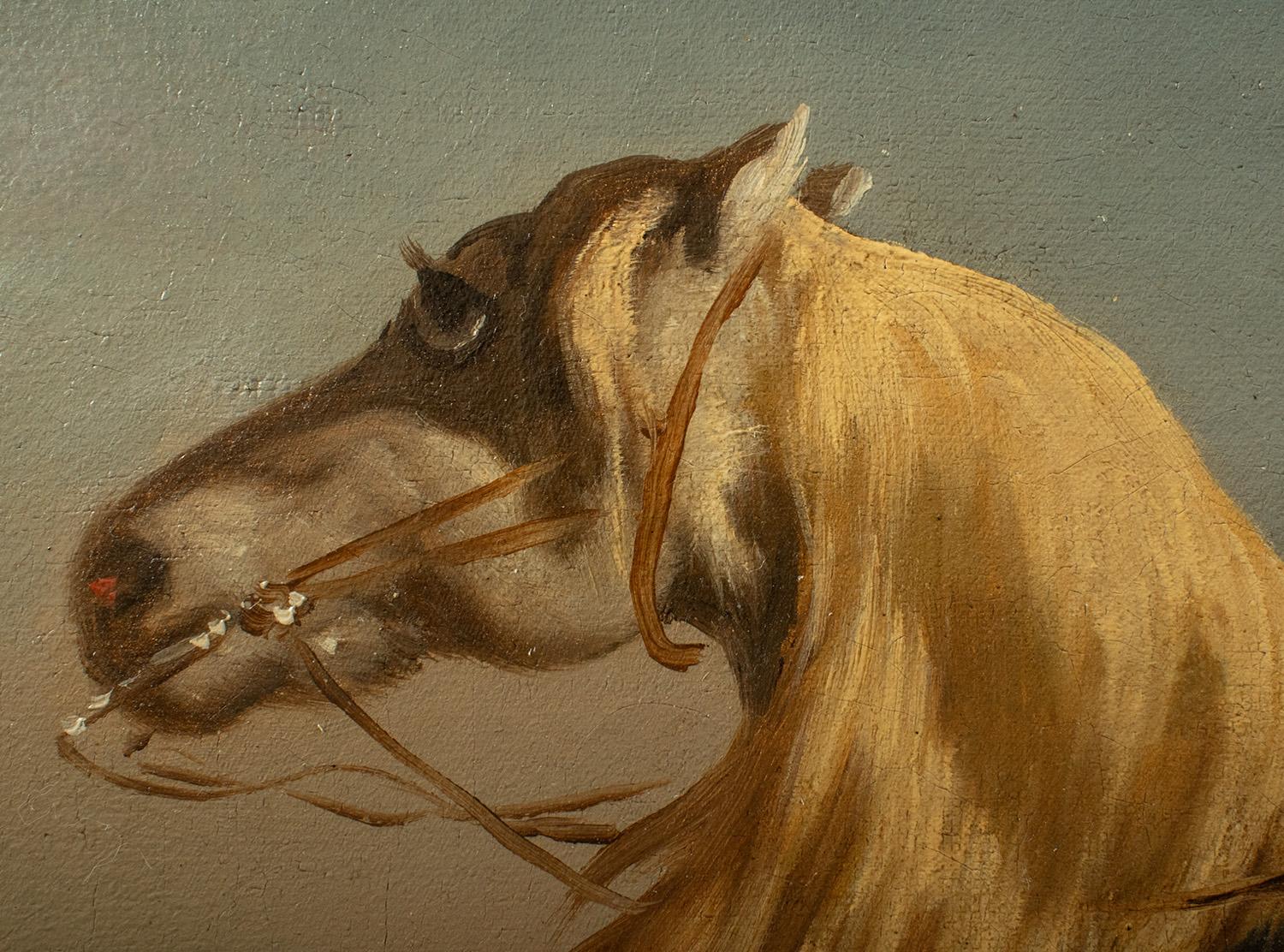 19th Century Théodore Fort (French 1810–1896) – Oil on Canvas – LOOSE HORSE For Sale