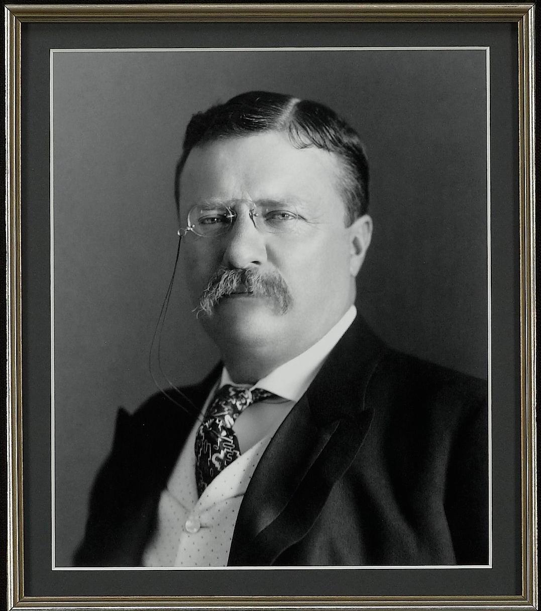 Theodore Roosevelt, signierter Brief, 1913 (amerikanisch)