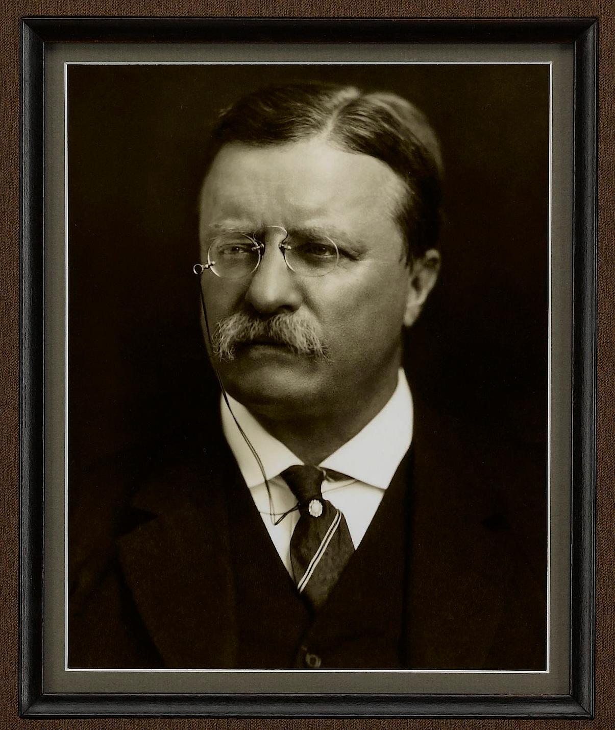 Theodore Roosevelt unterzeichnete Brief Collage (Graviert) im Angebot