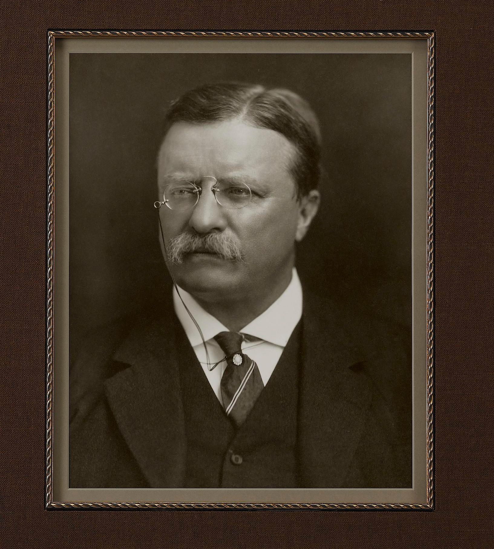 Engraved Theodore Roosevelt Typed Letter Signed to Charles Gordon, November 18, 1898