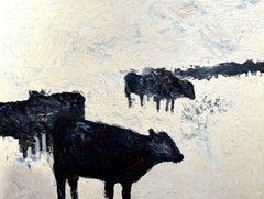 Angus 081