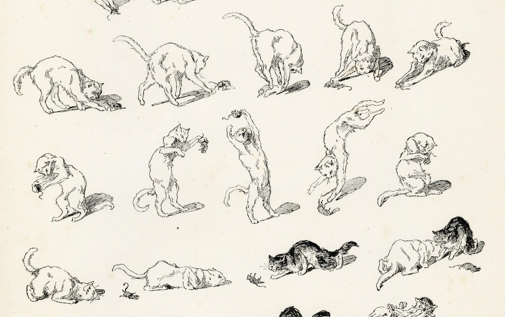 A black and white cat play with a mouse, from Le Chat Noir - Impressionist Print by Théophile Alexandre Steinlen