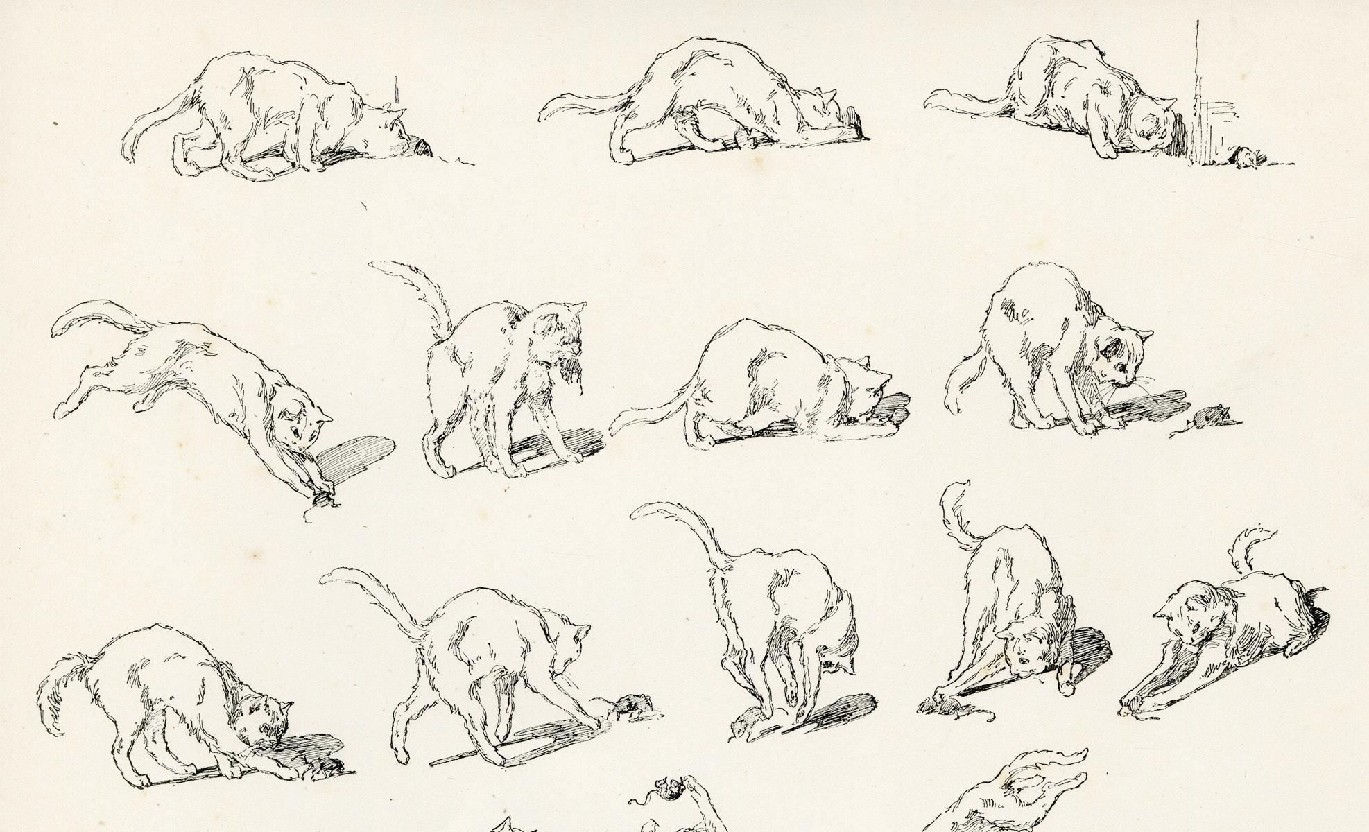 A black and white cat play with a mouse, from Le Chat Noir - White Animal Print by Théophile Alexandre Steinlen