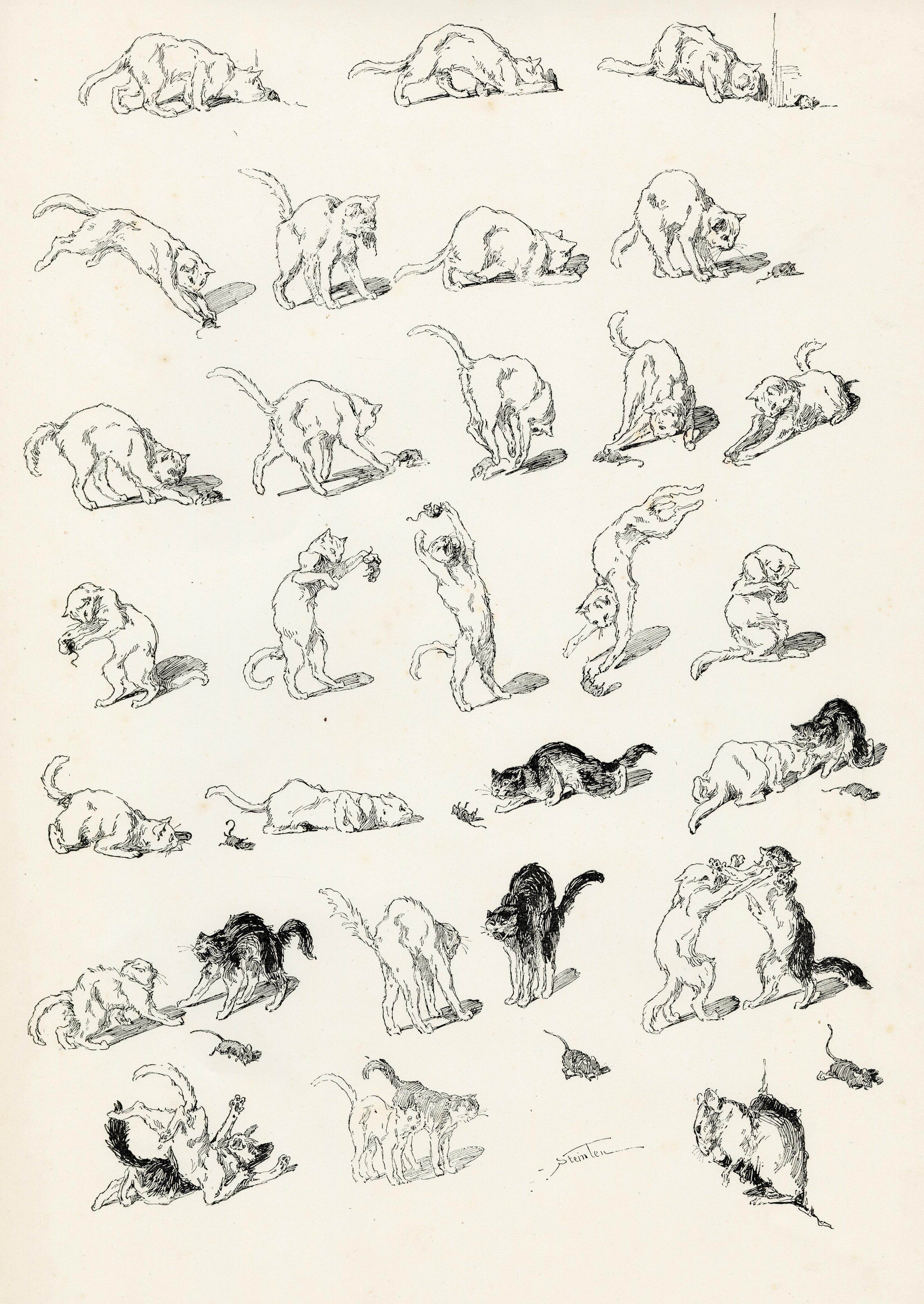 A black and white cat play with a mouse, from Le Chat Noir