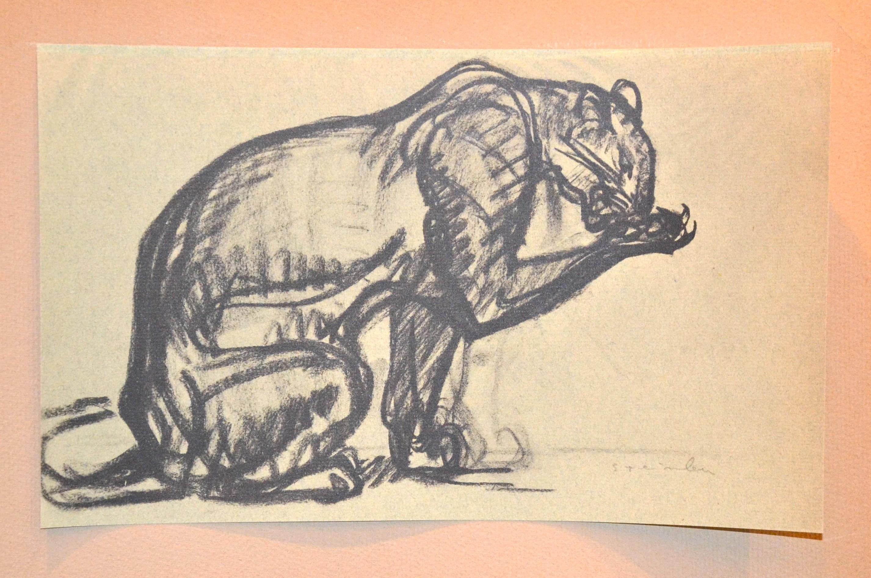 Guépard - Extrait de Chats et Autres Bêtes - Lithographie 1933