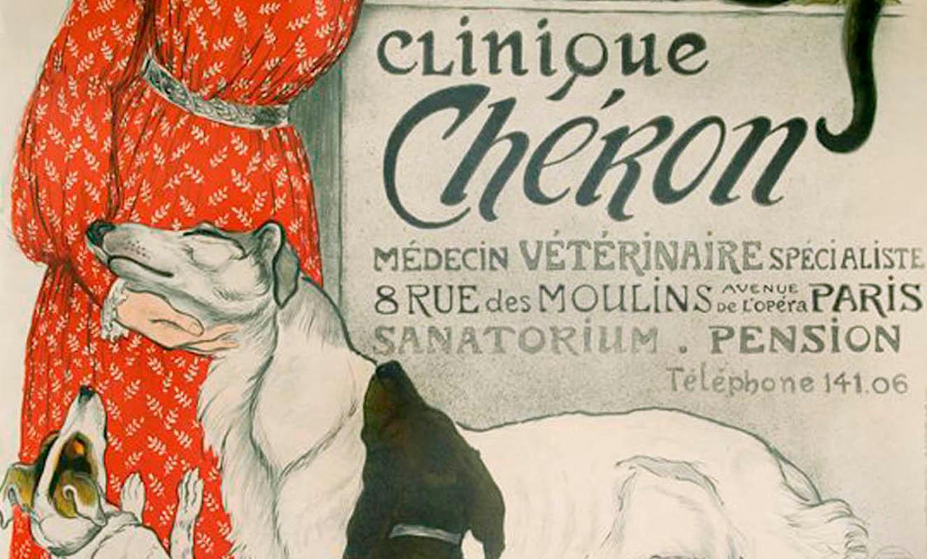 CLINIQUE CHÉRON Lithograph, Girl with Cats, Dogs, Vintage French Advertising 58