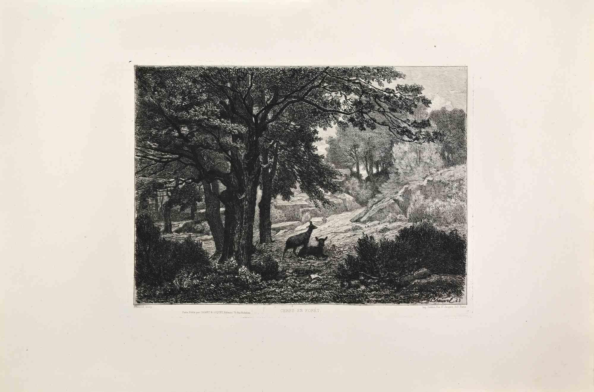 Landscape Print de Theophile Narcisse Chauvel - Cerfs en Foret - Aguafuerte de Théophile Narcisse Chauvel - Años 1860