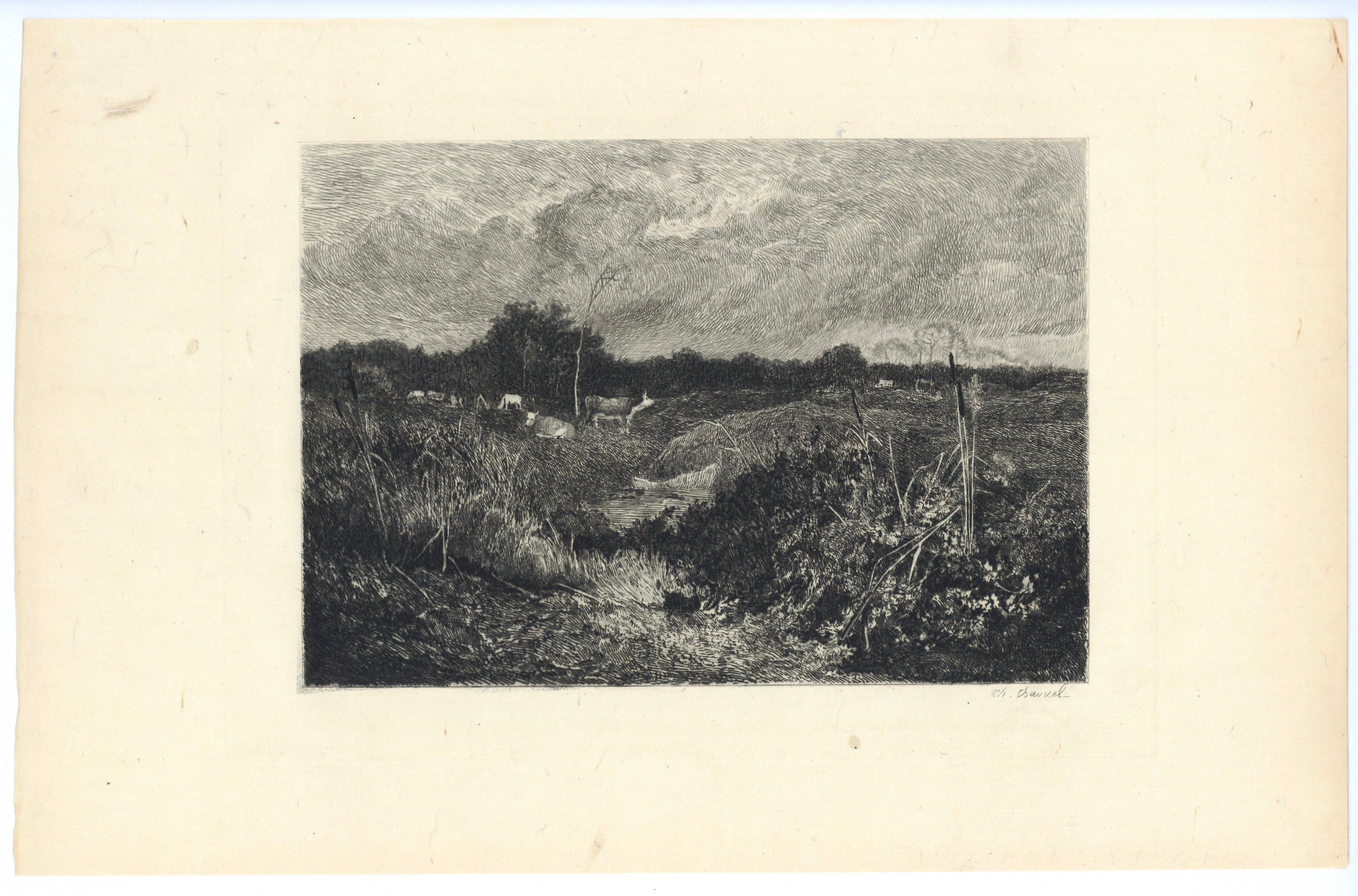 "Vaine Pature" etching - Print by Theophile Narcisse Chauvel