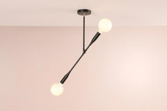 Modern Thia Branch Light Pendant in Black Poppy, Made to Order by Studio Dunn
