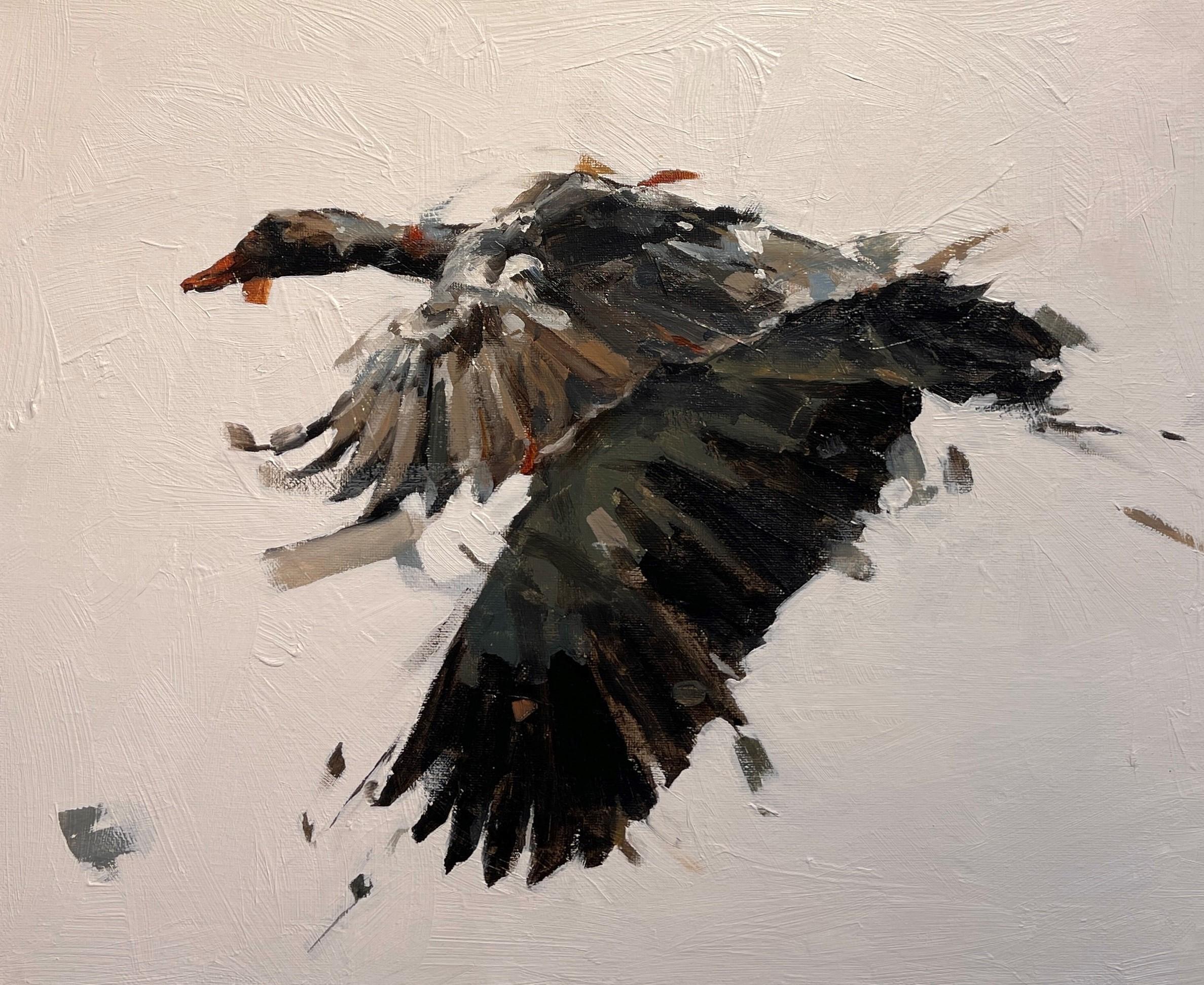 "Goose II" di Thibault Jandot (Francia) è un dipinto originale a olio su tela tesa che raffigura un'oca in volo. 

Thibault Jandot lavora con il nome di "Coeur" (Cuore) sin dal suo periodo di graffiti nel 2007 in Francia. Dopo tre anni di studi di
