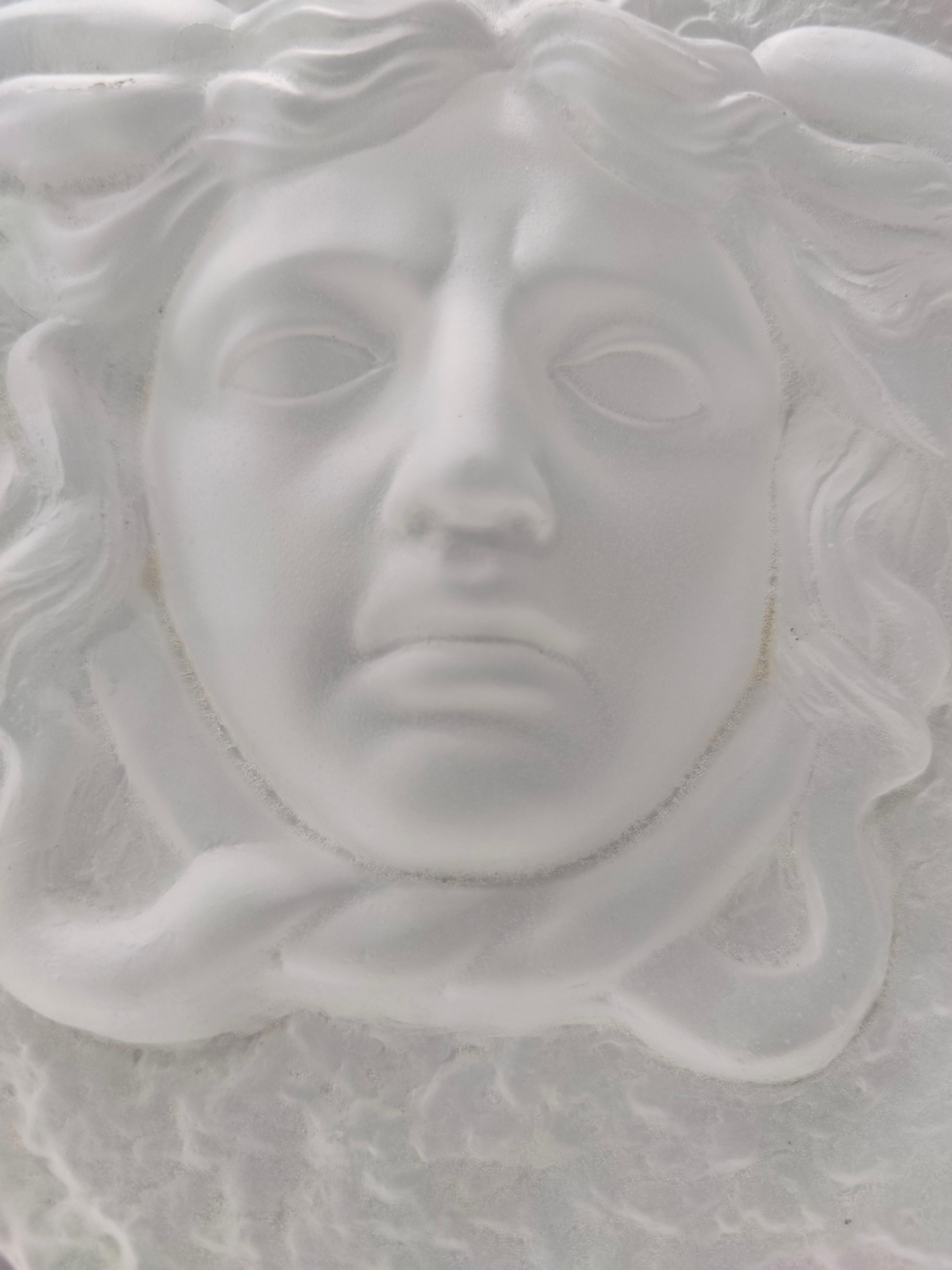 Thick Transparent Plexiglass Decorative Panel with Gorgon by Versace, Italy 5