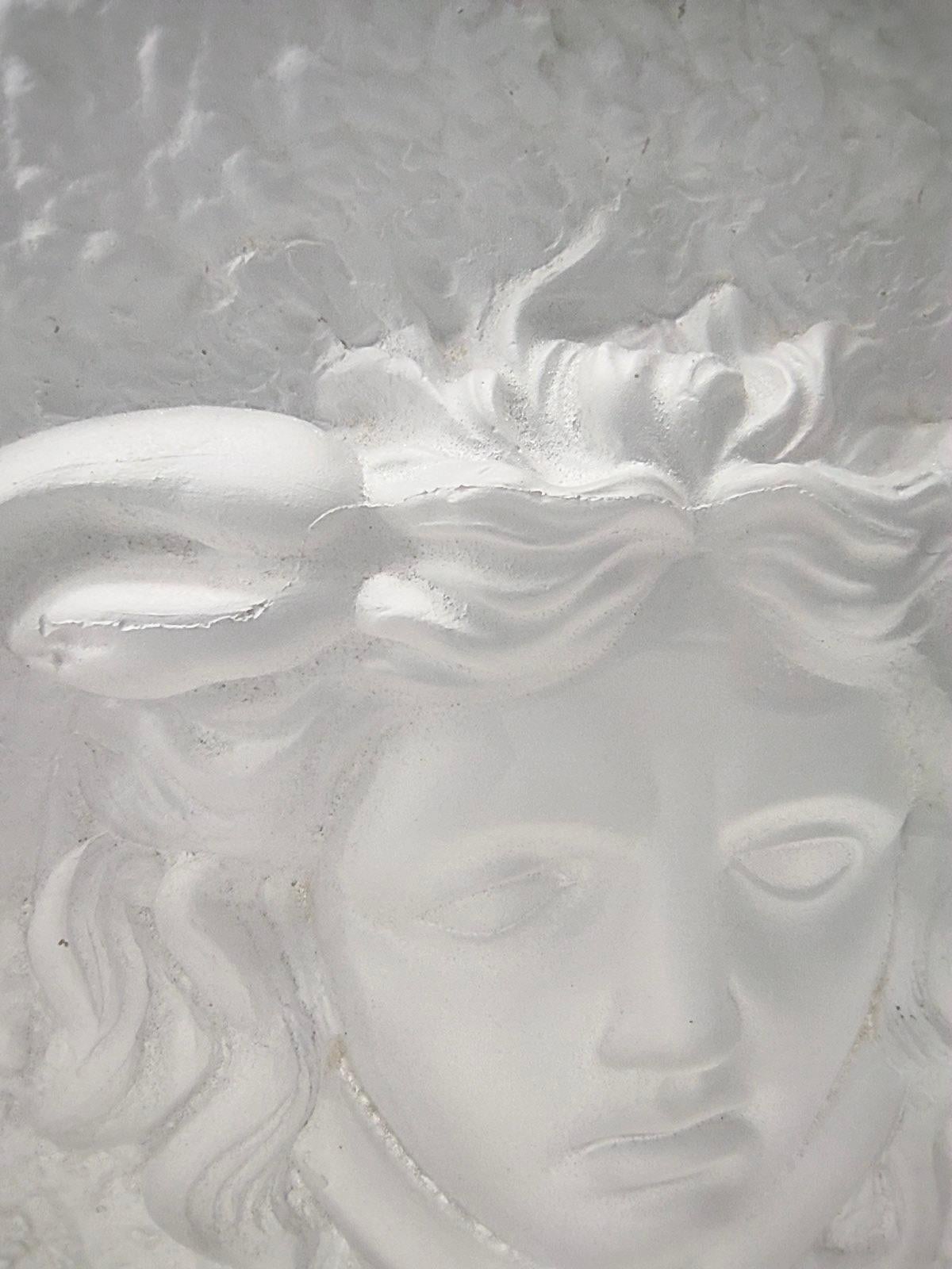Thick Transparent Plexiglass Decorative Panel with Gorgon by Versace, Italy 6