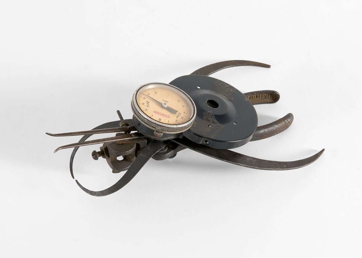 Americano Thierry Despont, Scultura di insetti con oggetti trovati, Stati Uniti, 2007 ca. in vendita