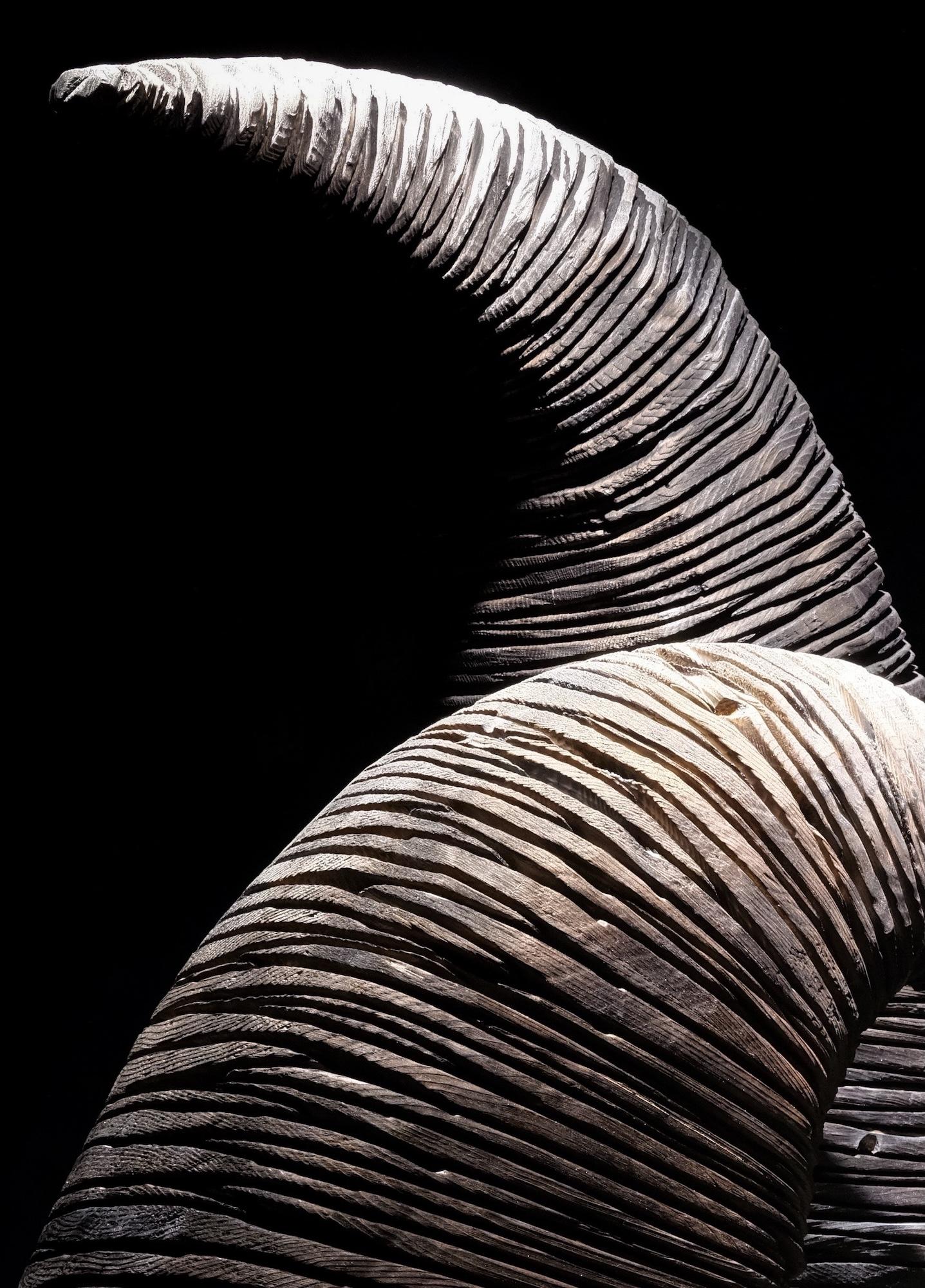 No.210624 di Thierry Martenon - scultura da parete di grandi dimensioni, geometrica astratta, Wood in vendita 4