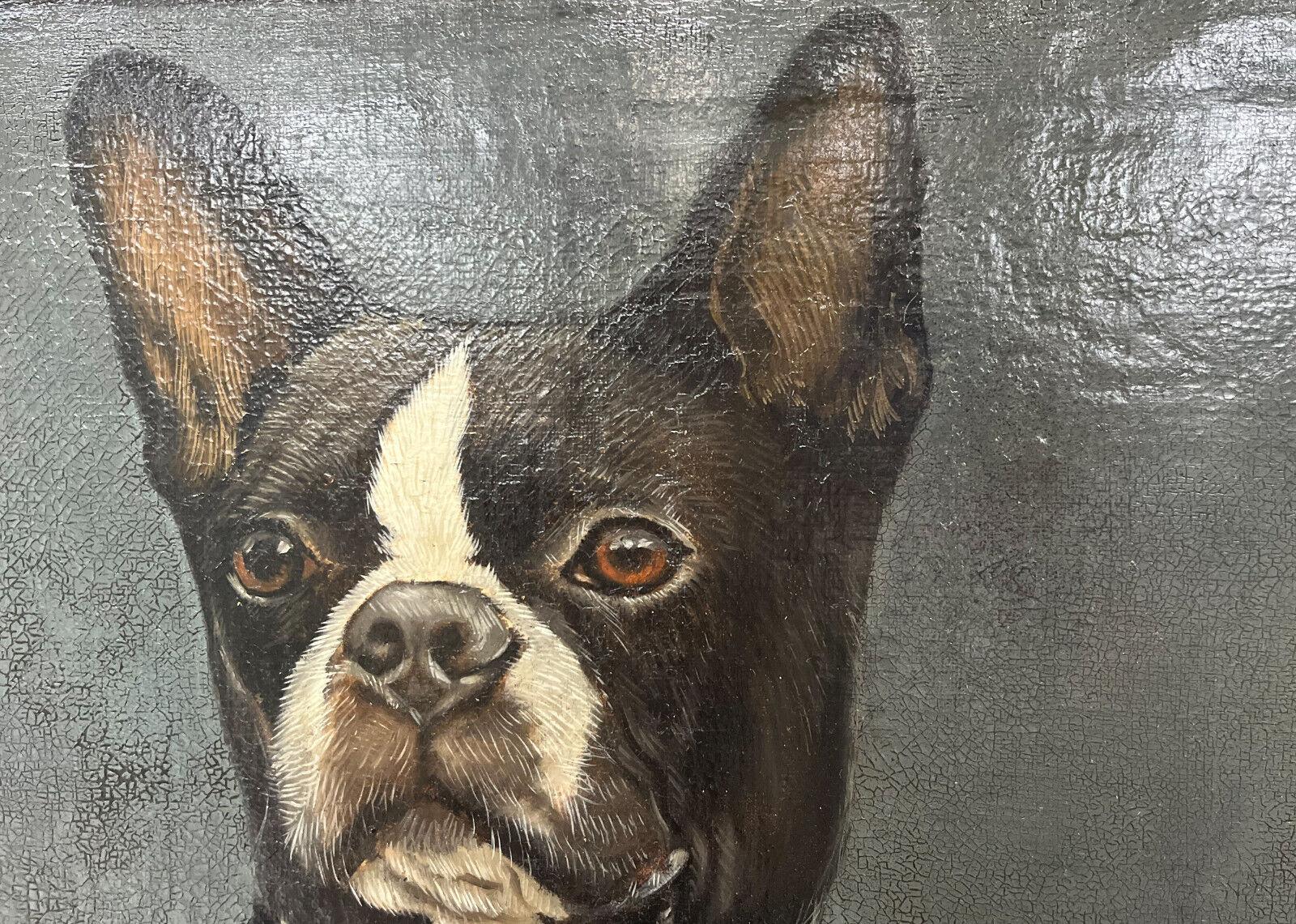 20th Century Thierry Poncelet Anthropomorphic Portrait of a Boston Terrier Dog Oil on Canvas