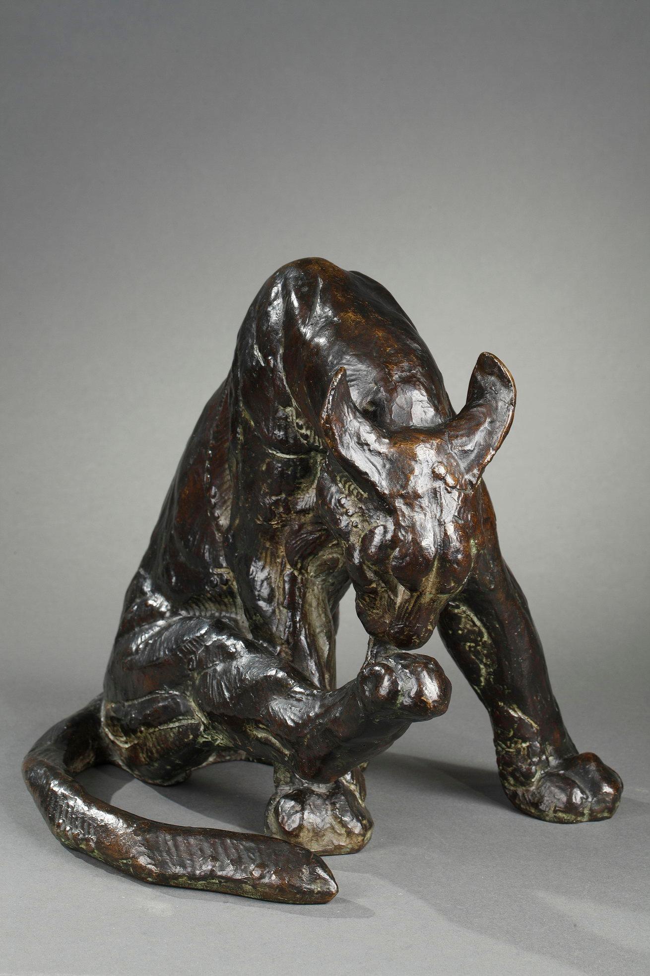 Pantera lamiéndose la pata
de Thierry VAN RYSWYCK (1911-1958)

Escultura de bronce con pátina verde pardusca matizada
Firmado en la cola 