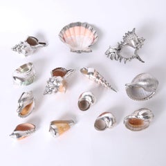 Thirteen Silver Plate Seashells