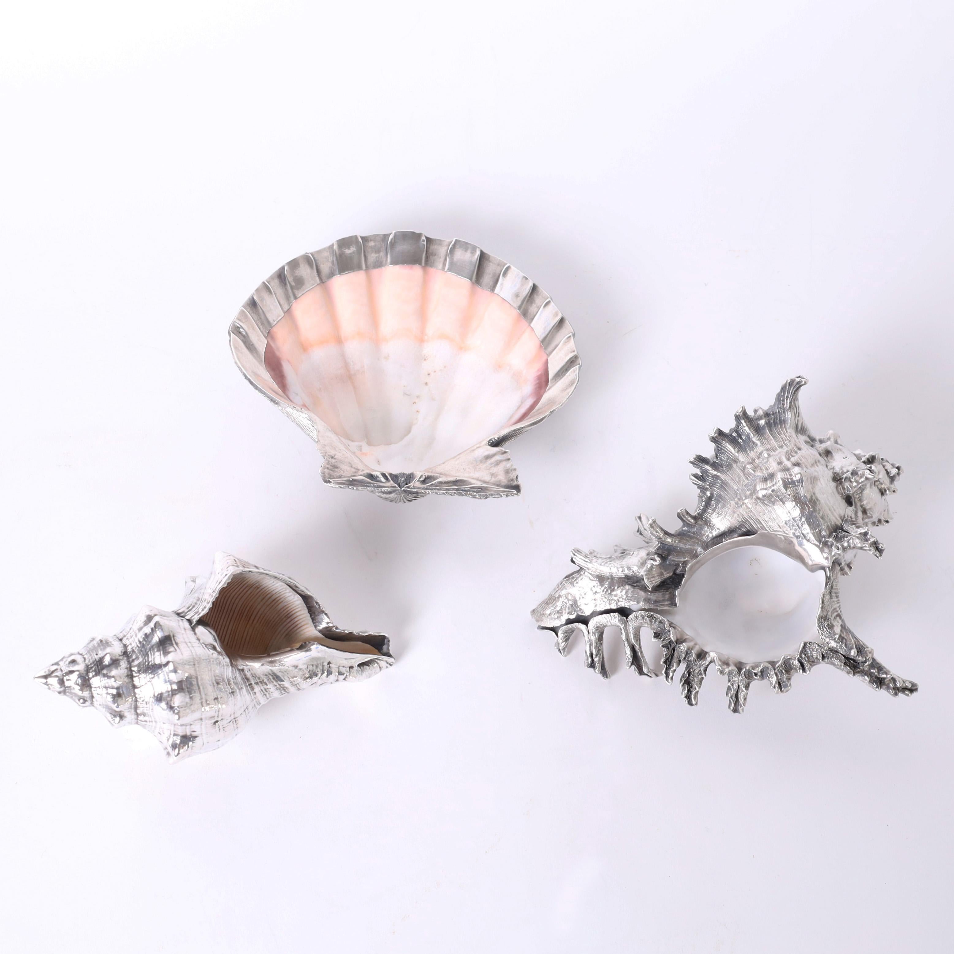 Italian Thirteen Silver Plate Seashells For Sale
