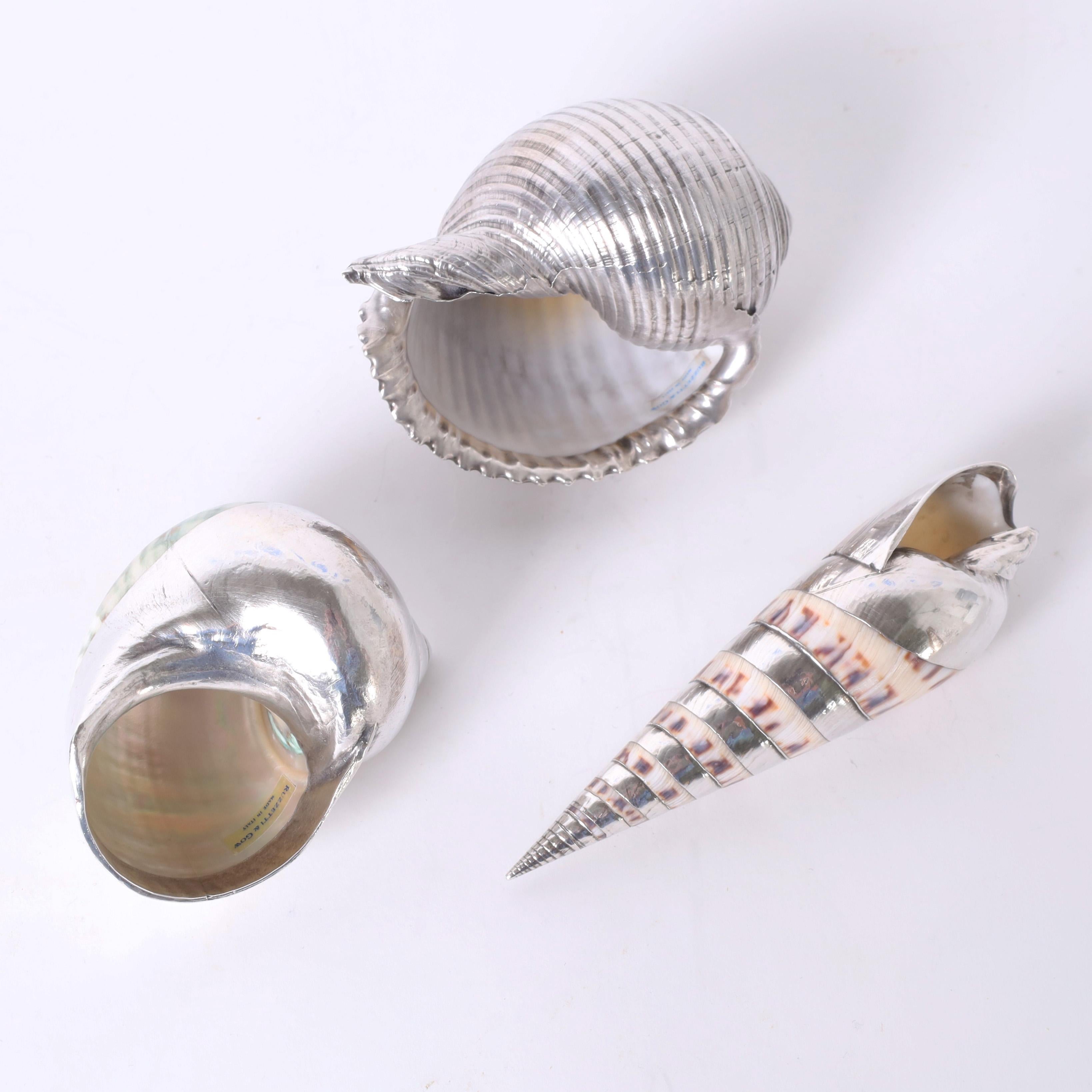 Thirteen Silver Plate Seashells In Good Condition For Sale In Palm Beach, FL