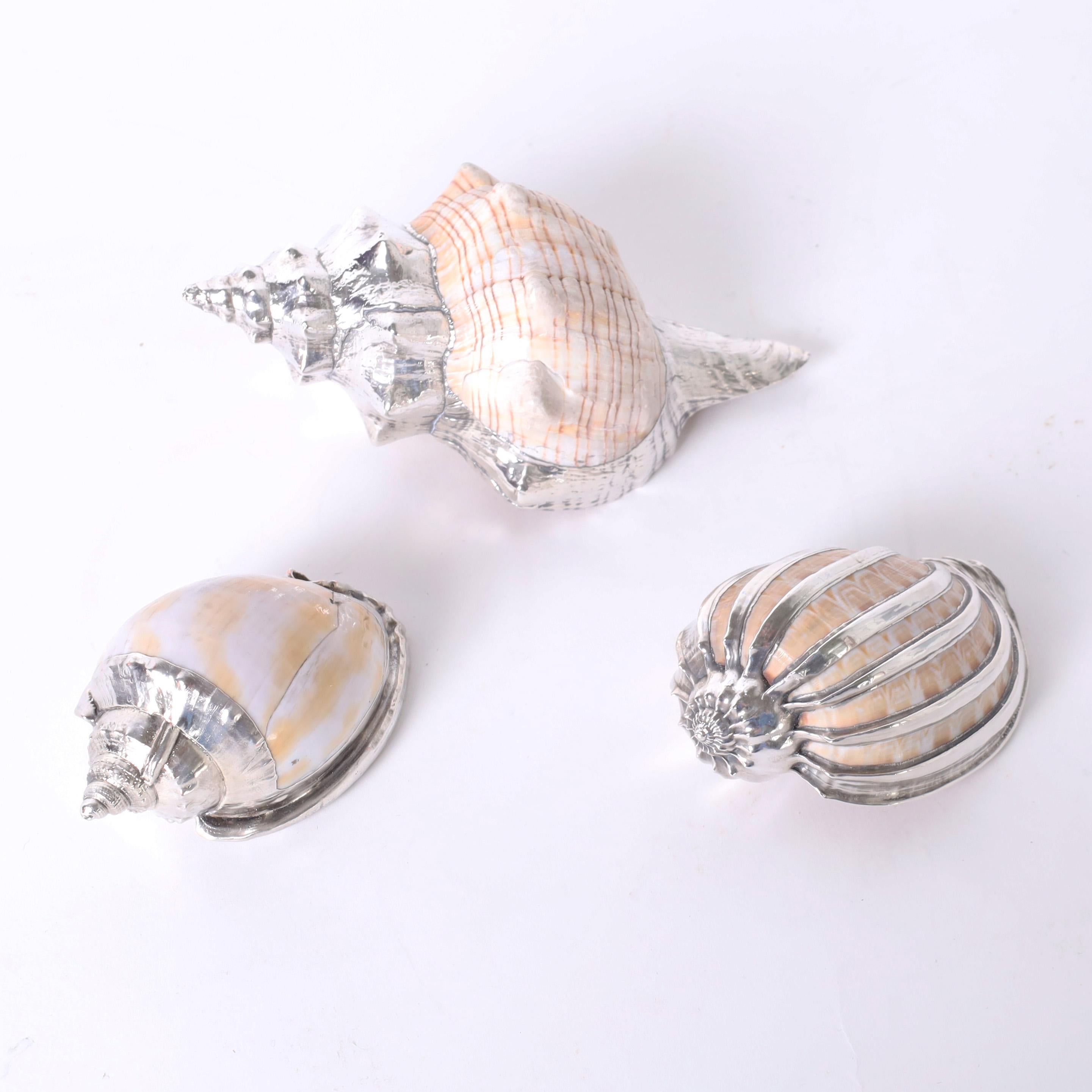 20th Century Thirteen Silver Plate Seashells For Sale