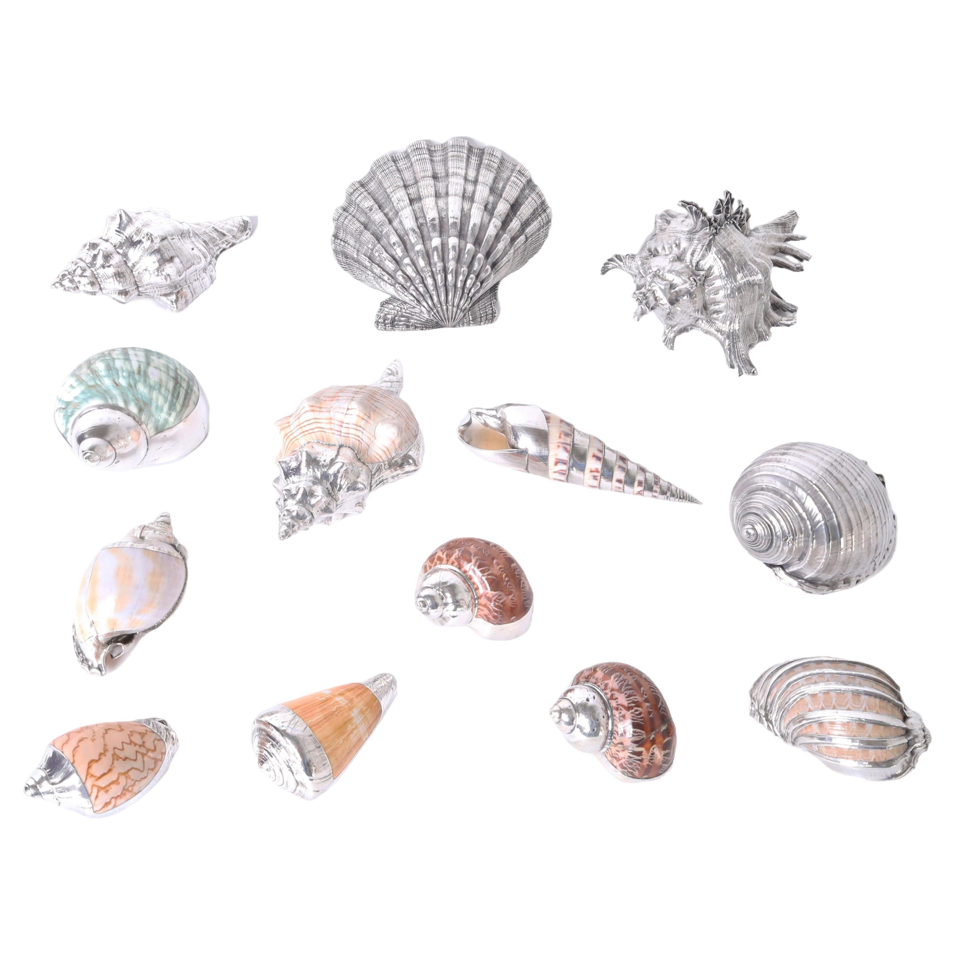 Thirteen Silver Plate Seashells For Sale