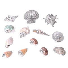 Thirteen Silver Plate Seashells