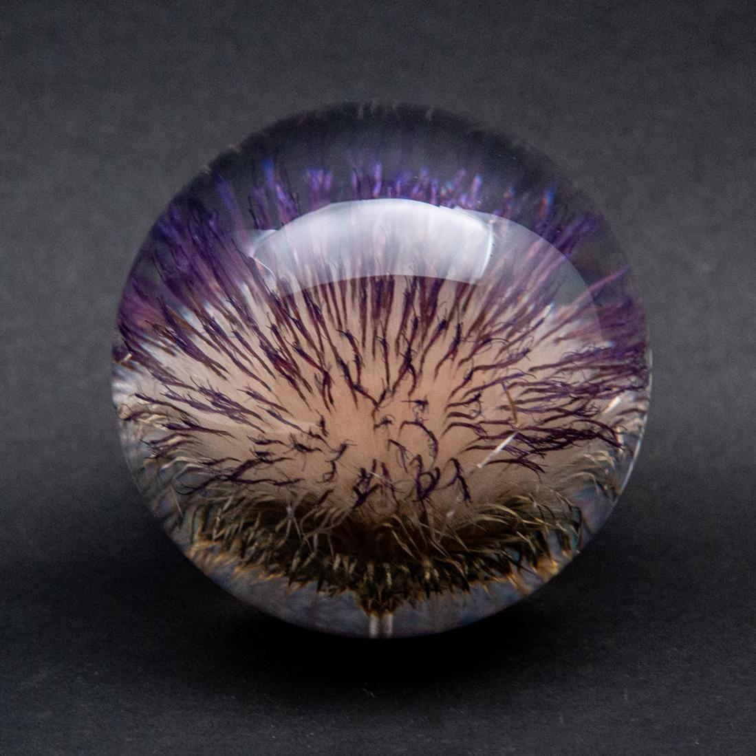 Thistle paperweight. Created from an encased purple thistle. Measures: 3