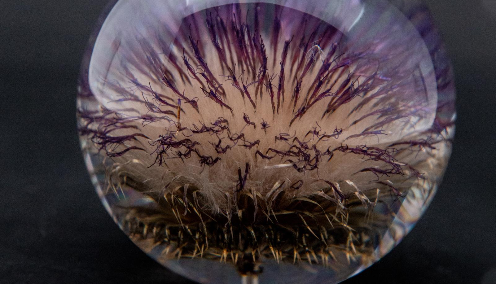 Thistle Paperweight In New Condition In New York, NY