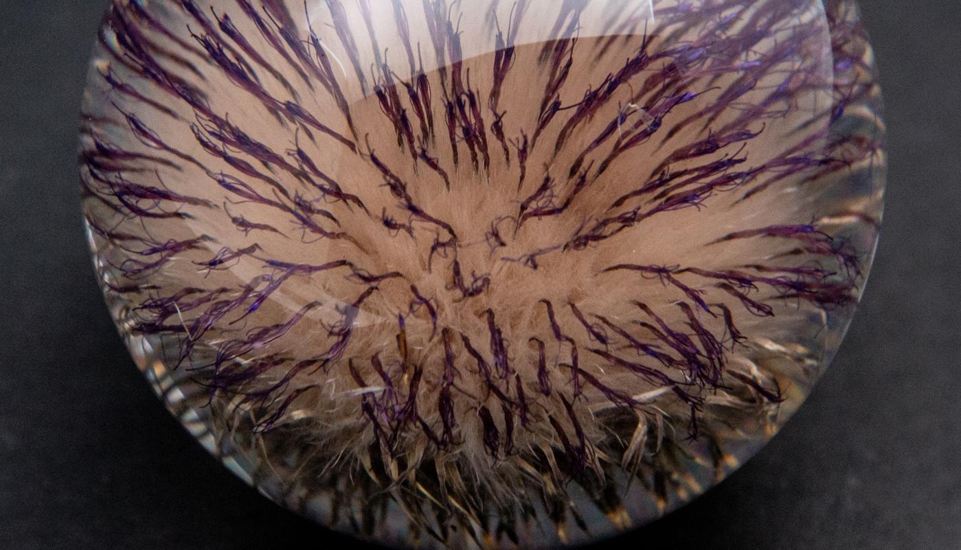 Contemporary Thistle Paperweight