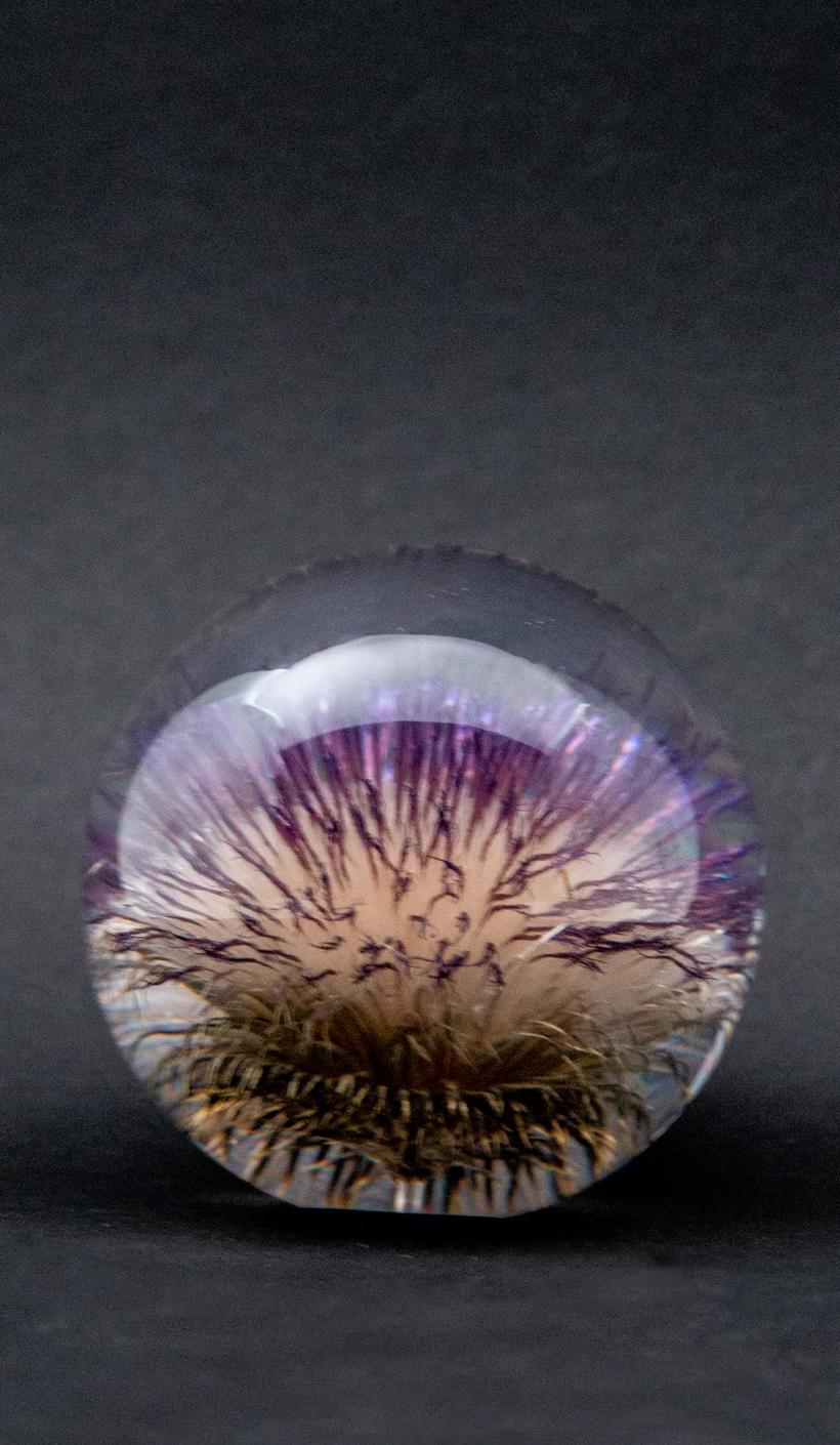 Resin Thistle Paperweight