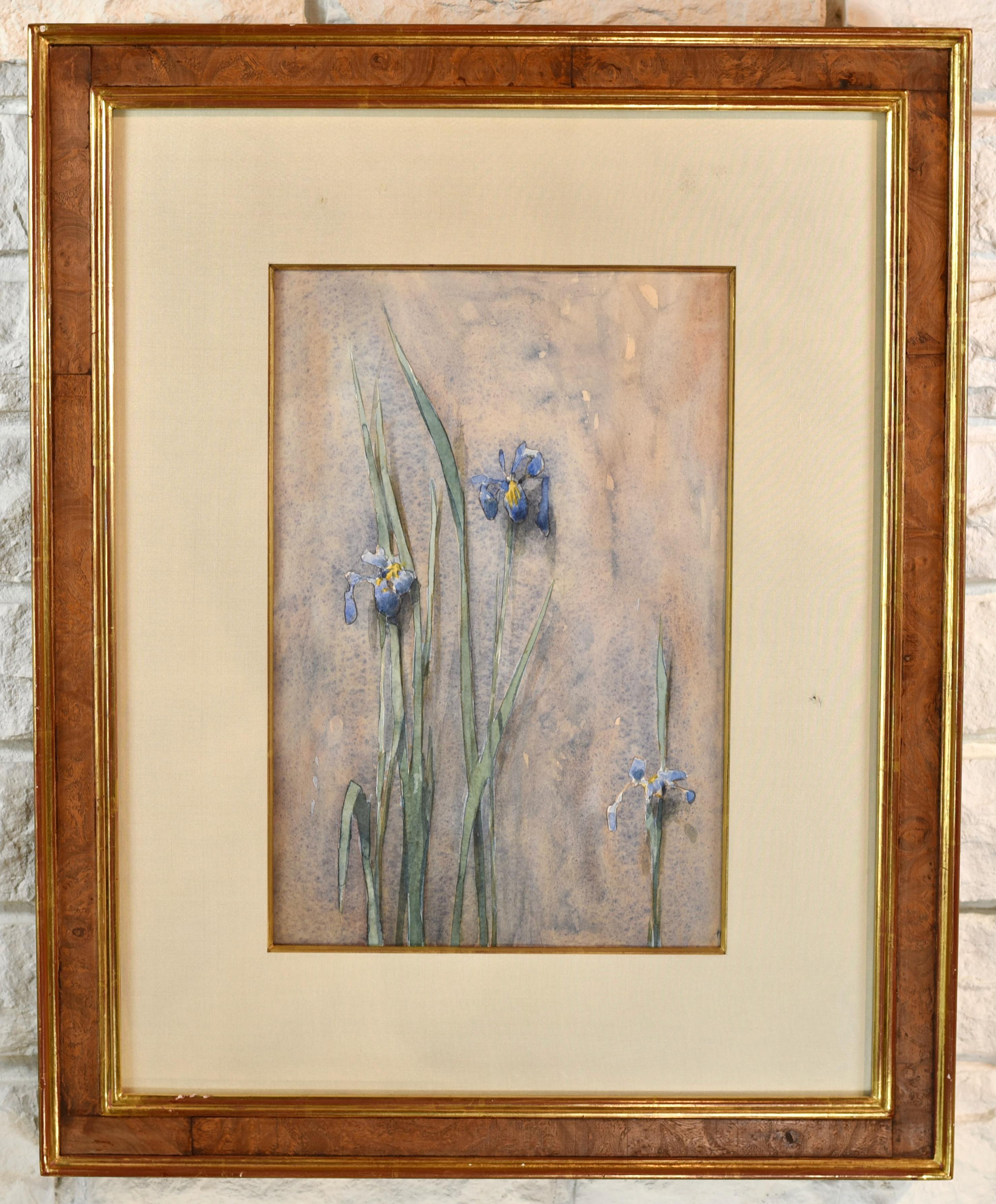 Paper Thomas Aquinas Daly Iris Signed Watercolor For Sale