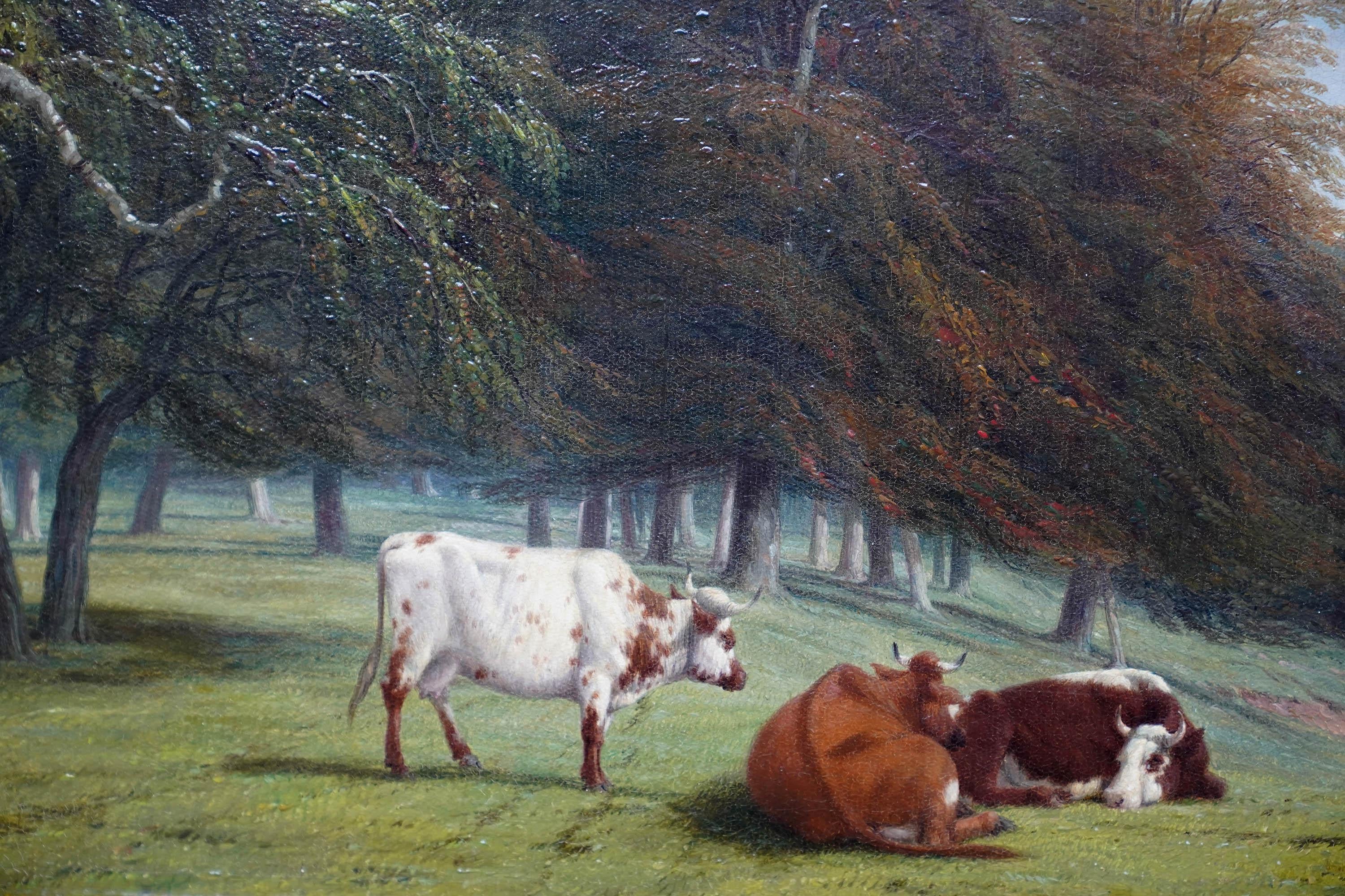 This lovely British Victorian oil painting is by noted 19th century landscape artist Thomas Baker of Leamington. It was painted on 18th September 1854 as a special commission. The composition is Baker's favourite; cows in a landscape. Three cows are