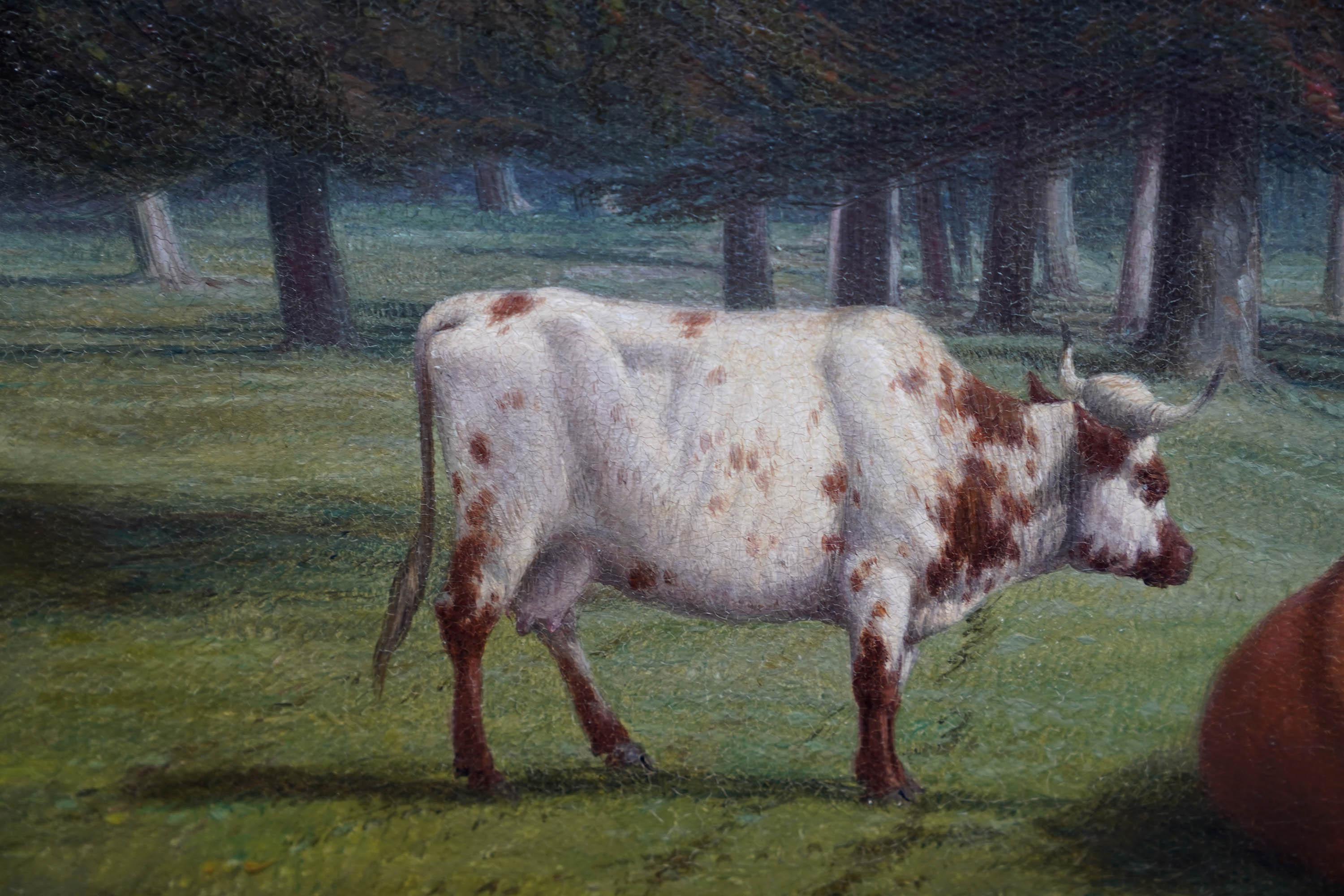 Cattle Grazing in a Wooded Landscape - British Victorian art oil painting For Sale 5