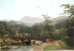Cattle Watering