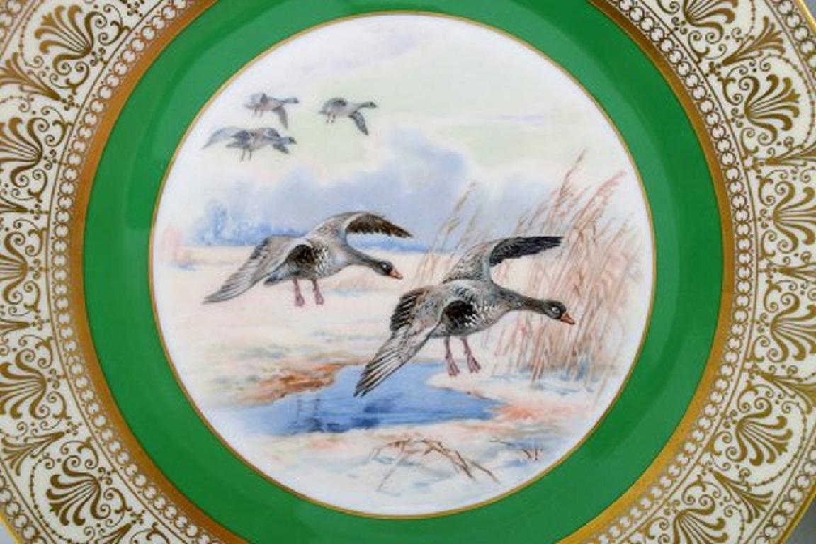 Thomas / Bavaria, Germany. Five decoration plates with hand painted wild-life motifs, 1930s-1950s. Pheasants, deer, wild ducks and grey geese.
Measures: 27 cm.
In very good condition.
Stamped.