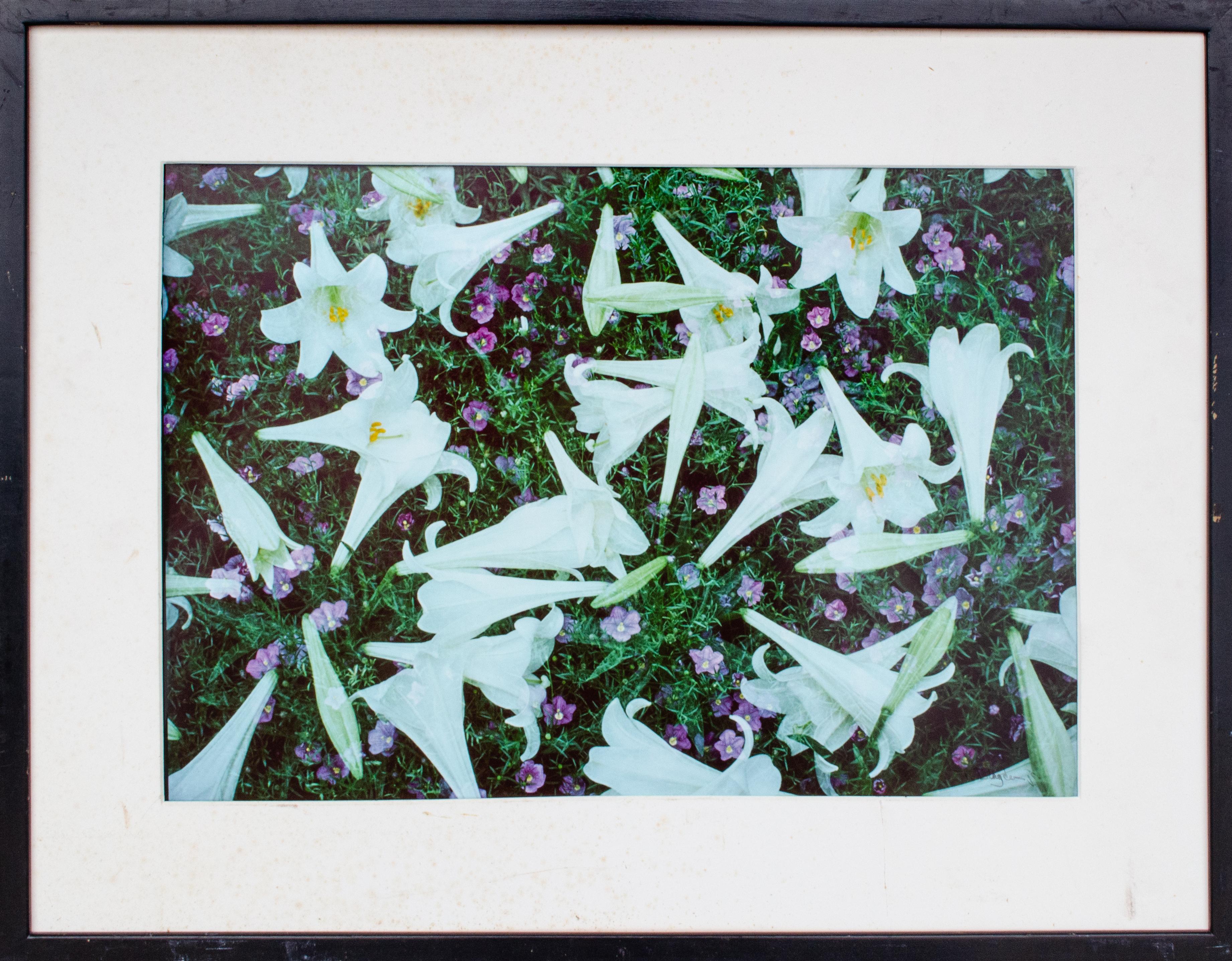 Thomas Blagden Jr. 
Lillies, c. 20th/21st Century
Photograph
Sight: 13 1/4 x 19 in.
Framed: 20 1/8 x 26 1/4 x 1 3/8 in.
Signed lower right: Blagden Jr.
Titled verso

For over four decades Thomas Blagden’s photography has always been more about