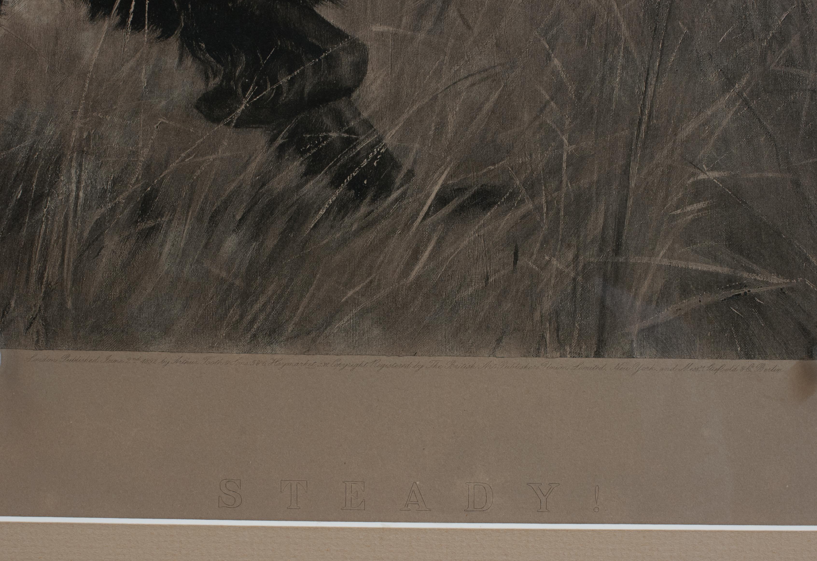 Quercia Thomas Blinks Photogravure, Steady! in vendita
