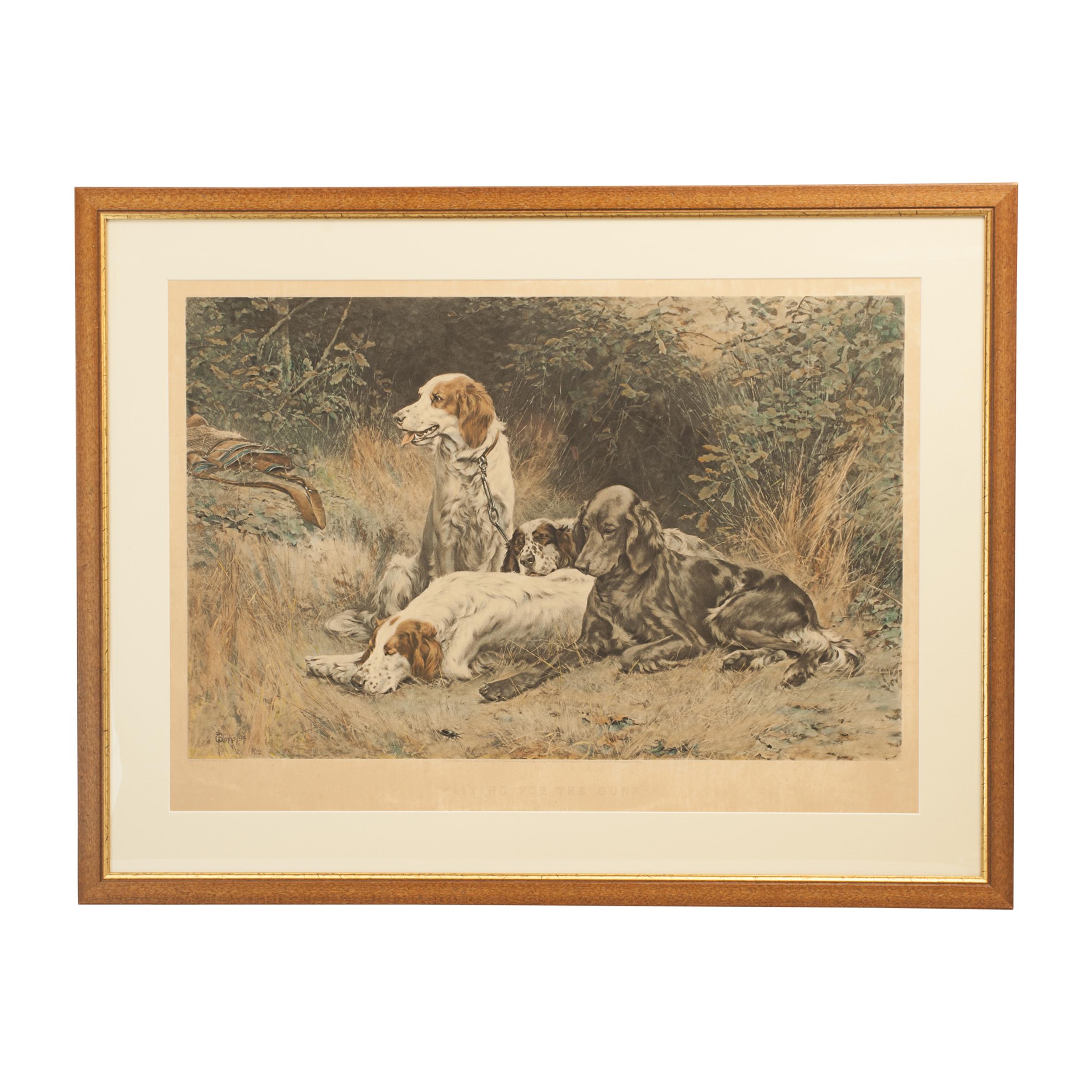 Thomas Blinks Photogravure, waiting for the guns.
A wonderful titled color photogravure of four hunting dogs, setters, after Thomas Blinks original painting, waiting for the guns. Framed and mounted in a modern wooden frame with gold slip.