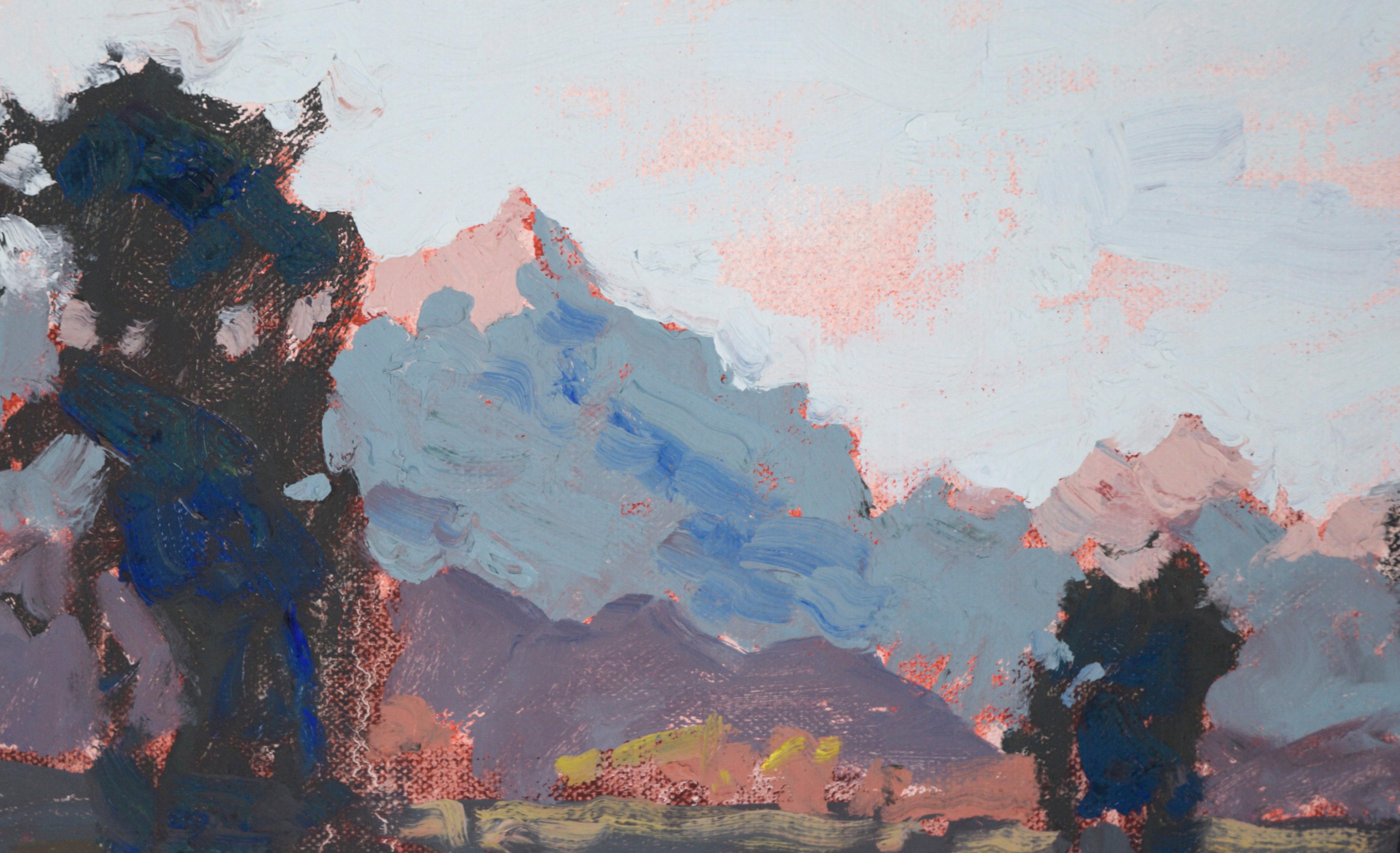 Sunset at Grand Teton National Park - Plein Aire Landscape in Oil on Board - Painting by Thomas Bradshaw