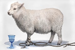 "Blue Goblet" (white lamb) Contemporary Surrealist Painting Animal Still Life 