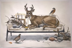 Tierzeichnungen und Aquarelle