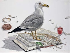 "Just Words" Contemporary Surrealist Painting (seagull with shells and book)