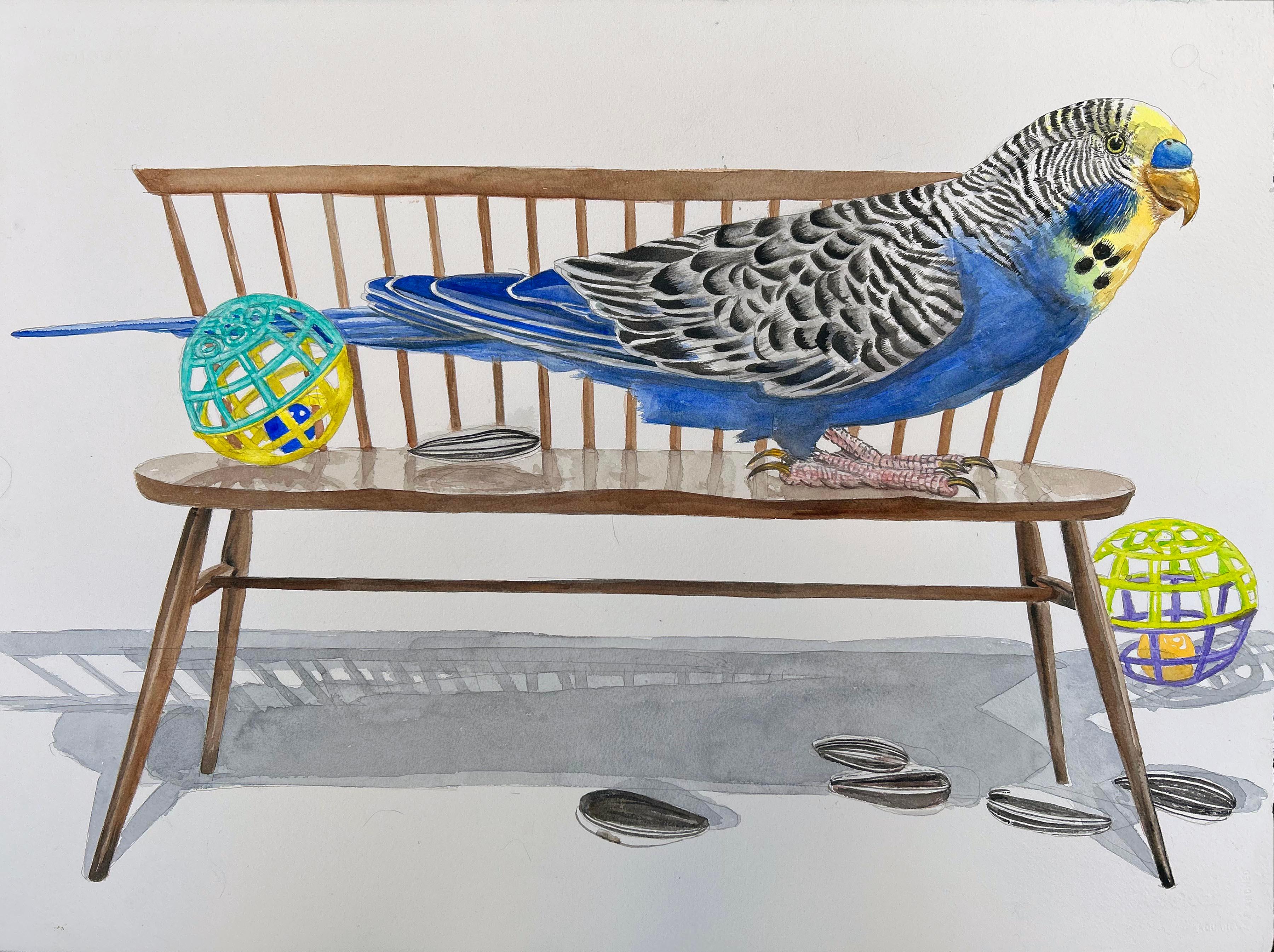 Thomas Broadbent Animal Painting – "Playtime" blauer Sittich, Holzspindelbank, zeitgenössische surrealistische Malerei
