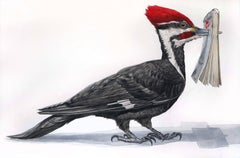 Großformatiges Aquarell:: „Woodpecker Sketchbook“ (Tiergemälde):: signiert