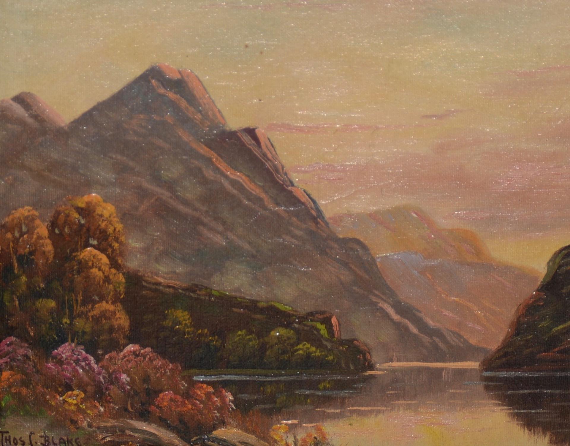 Thomas C. blake luminous mountain landscape oil painting, circa 1920

Fine mountain landscape by listed American / English artist Thomas C. Blake (b.1890)

Original oil on artist canvas board.

Dimensions: 8