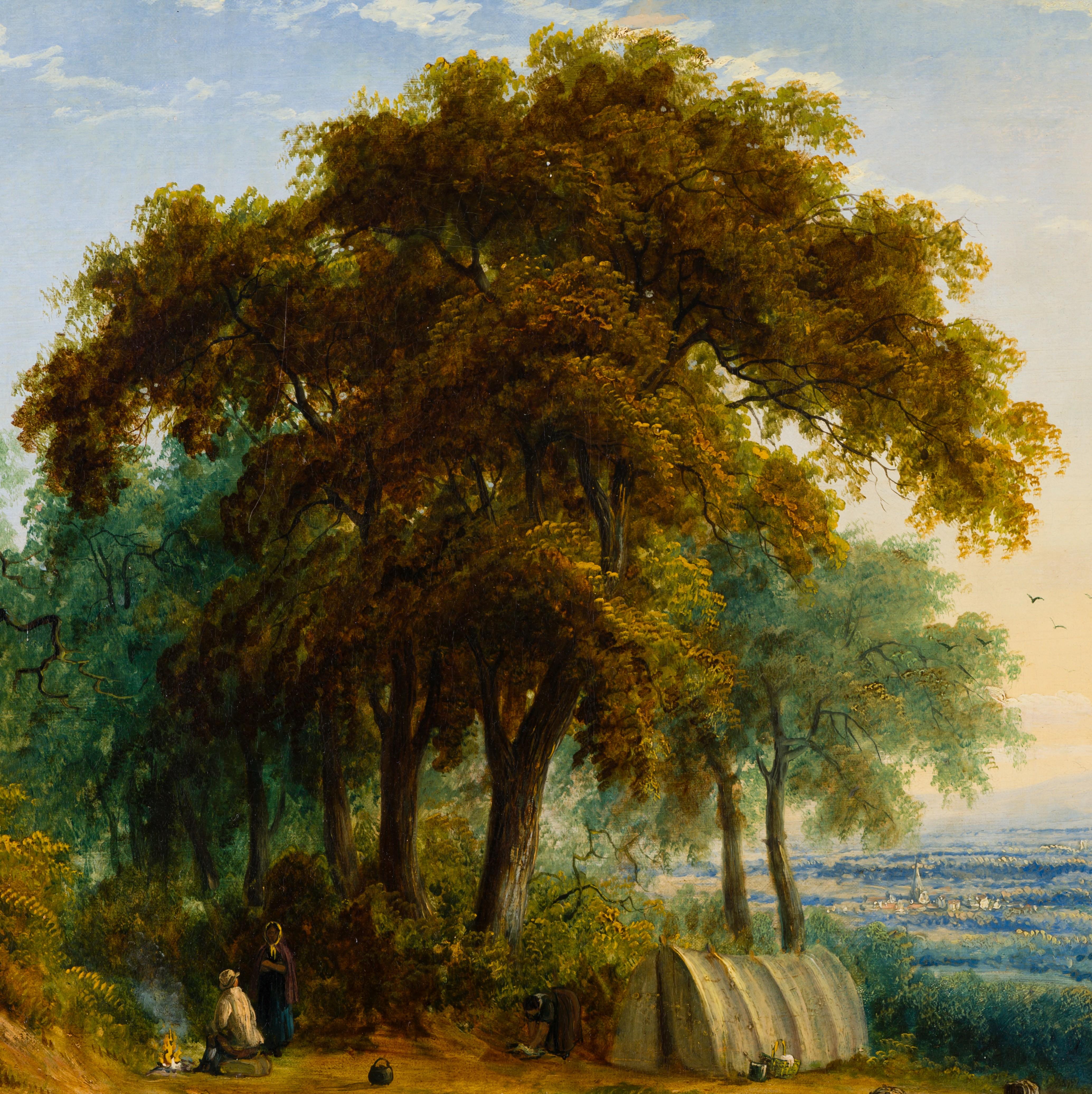 Paesaggio esteso in vendita 3