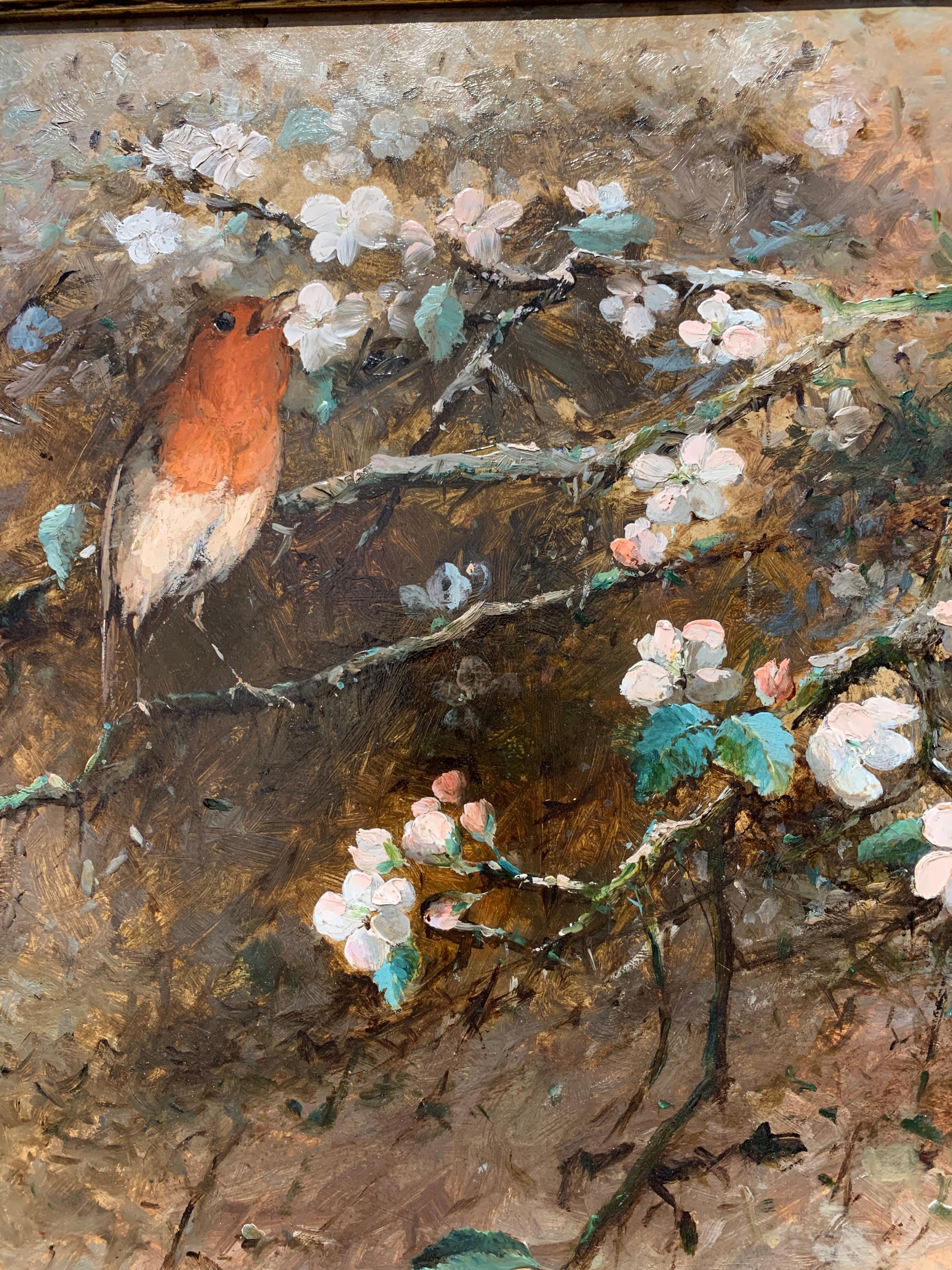 Victorian 19th century English Robin Bird on a Apple blossom branch - Painting by Thomas Dingle Sr.